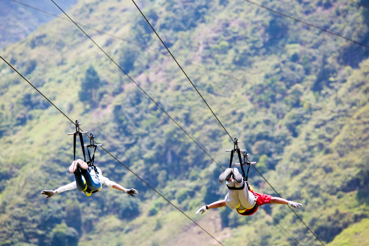 Zipline in un parco avventura